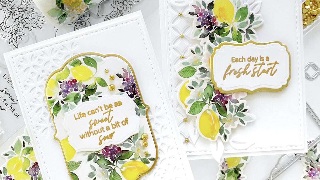 Fancy Frames: Elevate Your Designs with Pinkfresh Studio's Die Set | Dilay Nacar