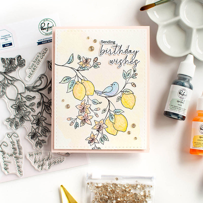 Watercolors Full Release Bundle