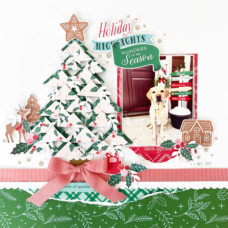 Very Merry Christmas: 12x12 Paper Pack